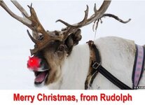 rudolph card.jpg