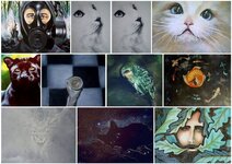 flo's pix2 - Copie.JPG