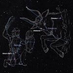 Taurus next to Orion.jpg