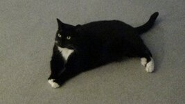 Jess what a unit Xmas 2020.jpg