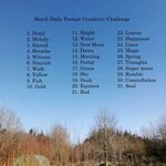 Daily Prompt.jpg