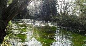 Spring Albrighton Hotel Shrewsbury.jpg