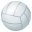 :volleyball: