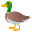 :duck: