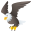 :eagle: