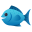 :fish: