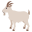 :goat: