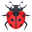 :lady-beetle:
