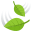 :leaf-fluttering-in-wind: