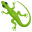 :lizard: