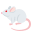 :mouse: