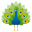 :peacock: