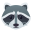 :raccoon: