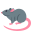 :rat:
