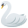 :swan: